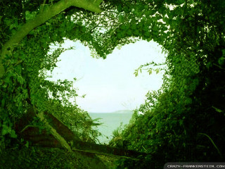 Heart tree ocean ecological art - a distance free wallpaper
