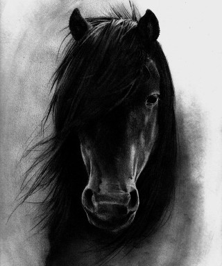 Black white horse head hair - a charcoal drawing free wallpaper