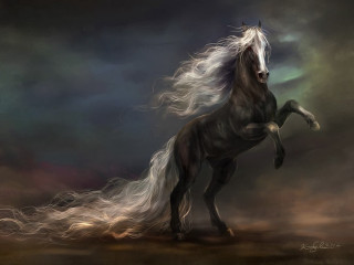 Horse long hair hind legs - its hind leg free wallpaper