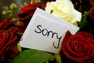 Sorry bouquet roses note card - a bouquet of roses free wallpaper