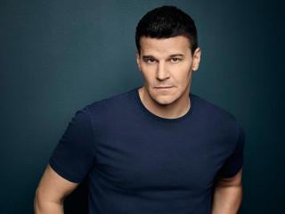 Man blue shirt posing hands 2 - his hip free wallpaper