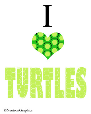 Turtle heart i love turtles - ecological art free wallpaper