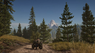 Man motorcycle dirt road forest - tree and a mountain in the background free wallpaper