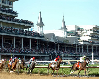 Horses racing track crowd stands - the stand free wallpaper