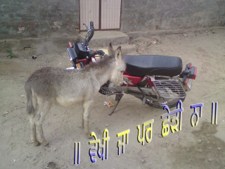Donkey motorcycle dirt lot transportation - a sign free wallpaper for desktop