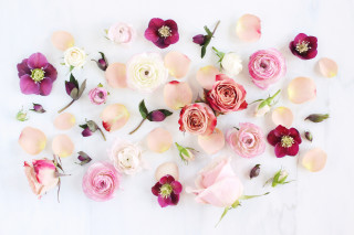 Flowers laying on table together - a table together free wallpaper