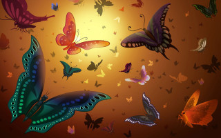 Butterflies flying sun yellow light - a yellow light in the middle free wallpaper