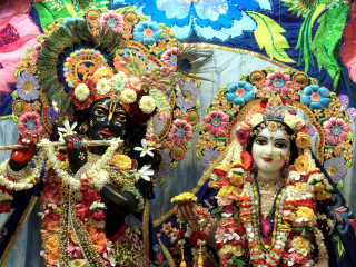 Couple people standing wall flowers - bholekar srihari free wallpaper