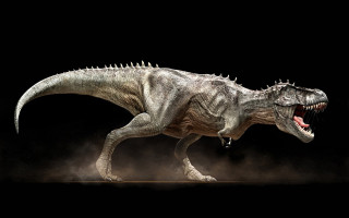 Dinosaur mouth open teeth wide - a dinosaur free wallpaper