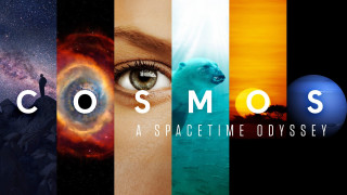 Cosmos collage woman face images - a collage free wallpaper