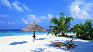 Beach palm umbrella bench sand 2 - a wooden bench free wallpaper
