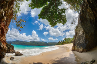 Beach tree water cliff rocks - a rocky cliff free wallpaper