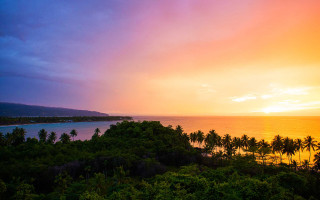 Sunset tropical island palm trees - palm tree and a body of water free wallpaper