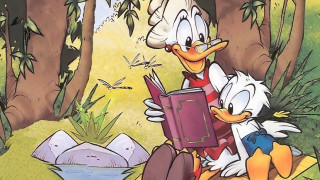 Cartoon duck duckling reading woods - a forest free wallpaper