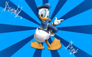 Cartoon duck hat blue background 5 - loony toon free wallpaper