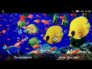 Fish swimming aquarium blue water - a large aquarium free wallpaper