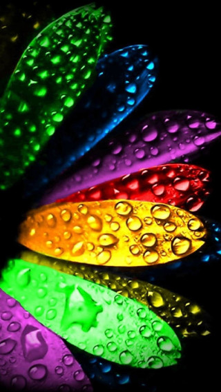 Colorful flower water droplets black - neon color free wallpaper