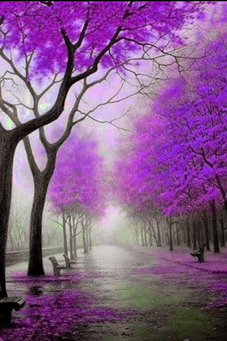 Park purple trees benches rain - impressionist free wallpaper