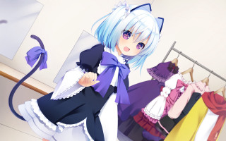 Anime girl dress rack cat - aguri uchida free wallpaper