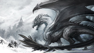 Dragon snow people long tail - dragon art free wallpaper