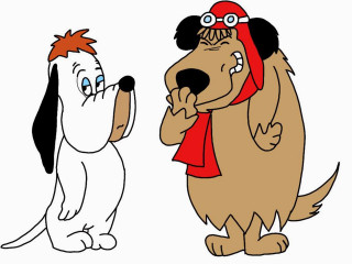 Dog cat standing next to - a dog and a cat free wallpaper