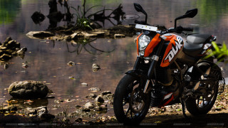 Motorcycle parked water tree rock - tilt shift free wallpaper