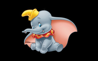 Elephant crown cape sitting looking - the viewer free wallpaper