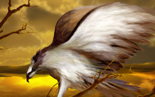 Bird wings spread flying sunset - adam rex free wallpaper