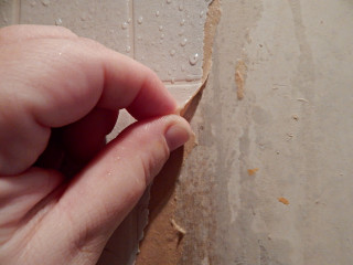 Person holding paper pointing thumb - hard edge free wallpaper