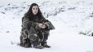 Woman fur coat snow dog - a woman in a fur coat free wallpaper