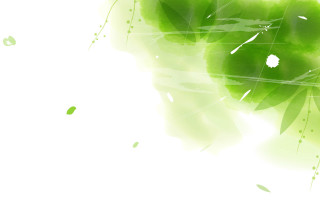 Green leafy background white pattern - a green leafy background free wallpaper