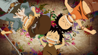 People microphone flowers vines group - eiichiro oda free wallpaper