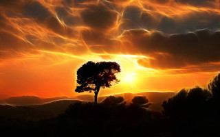 Tree silhouette sunset sky clouds - atmospheric free wallpaper