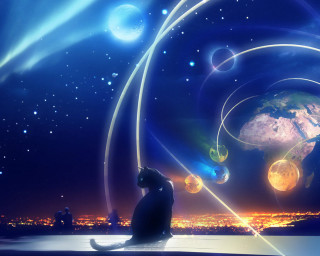 Cat sitting on ledge earth - the earth free wallpaper