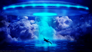 Whale swimming blue sky flying - flying free wallpaper