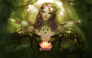 Woman dragon flower forest fantasy - a flower free wallpaper