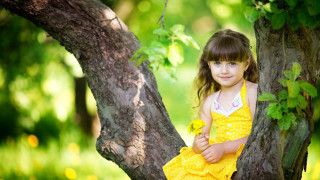 Little girl yellow dress tree - a little girl free wallpaper