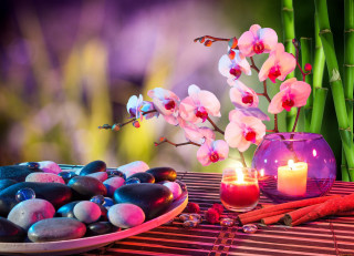 Plate rocks candle table flowers - candle free wallpaper