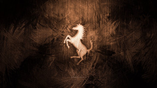 Horse running woods rain nighttime - llustration free wallpaper