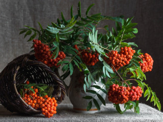 Vase berries basket leaves tablecloth - a vase free wallpaper