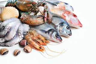 Seafood assortment shells clams white - damien hirst free wallpaper