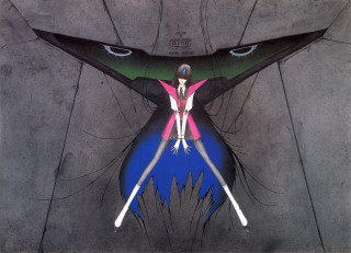 Woman pink blue outstretched bird - leg free wallpaper