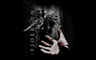 Person holding plant story back - a plant free wallpaper