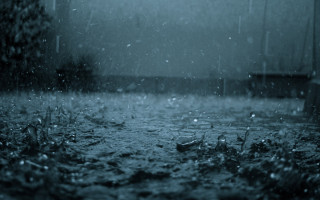 Rainy street night city lights - the rain free wallpaper