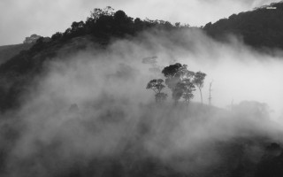 Foggy mountain black white photo - a few house free wallpaper