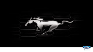 Horse running black honeycombs white - a white horse free wallpaper