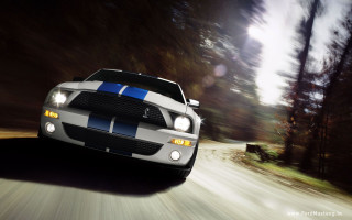 White blue mustang driving road - the side of the road free wallpaper