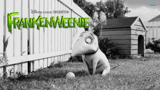 Dog mask grass fence doghouse - the grass next free wallpaper