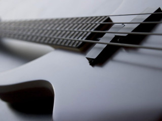White guitar neck fretset black - metal free wallpaper