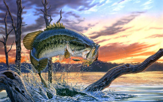 Fish jumping sunset tree branch - the water free wallpaper